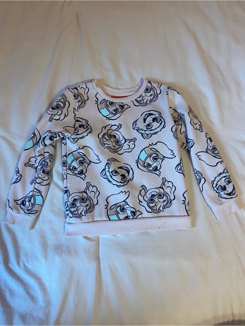 Paw Patrol Light Pink Character Sweatshirt with Aqua Accents